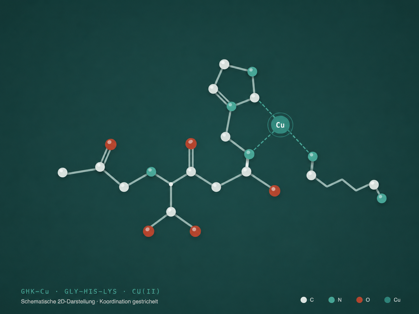 GHK-Cu · complexe cuivre-tripeptide